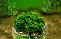 [좋은글] 타초경사打草驚蛇 – 풀숲을 건드려 뱀을 놀라게 하다. 