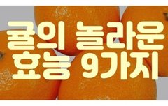 [좋은글] 귤의 놀라운 효능 9가지
