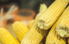 [좋은글] 혈관의 굳어지는것을 예방해주는 음식 8가지