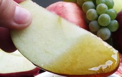 [좋은글] 꿀의 모든 것