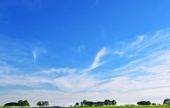 [좋은글] 창명소저彰明昭著 - 매우 뚜렷하다, 아주 명백한 사실 