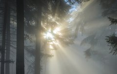 [좋은글] 노즉색쇠老則色衰 - 늙으면 사람의 빛이 다해 소멸하다.