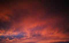 [좋은글] 천지지지 자지아지天知地知 子知我知 - 하늘이 알고 땅이 알고 너와 내가 안다, 세상에 비밀