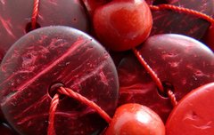 [좋은글] 홍주우심紅珠牛心 - 붉은 구슬과 소의 심장, 홍시의 다른 이름