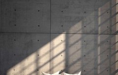 [좋은글] 청정점수蜻蜓點水 - 잠자리가 수면을 건드리다, 일을 오래 지속하지 못하다.