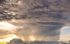 [좋은글] 초가벌진楚可伐陳 - 초나라는 진나라를 칠 수 있다, 이면을 살펴 일을 처리하다.