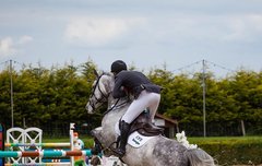 [좋은글] 추삼조사 推三阻四 - 일을 하려는데 장애가 많다, 여러 가지 핑계로 회피하다.