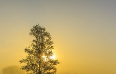 [좋은글] 호사다마好事多魔 - 좋은 일에는 흔히 방해되는 일이 많다.