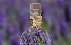 [좋은글] 수구여병守口如甁 - 입을 병마개 막듯이 꼭 막다, 입 조심하여 비밀을 지키다.