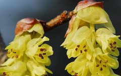 [좋은글] 【히어리】