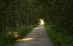 [좋은글] 면이무치免而無恥 - 법을 어기고도 형을 피하면 부끄러움이 없다.