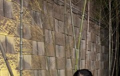 박주현 파격 비키니, 복싱으로 다진 몸매 대박 [DA]