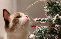 베리레드톡)Around the corner