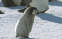 260112엔Album details