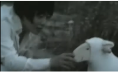 사담)easter bunny는egg(plant)를남기고