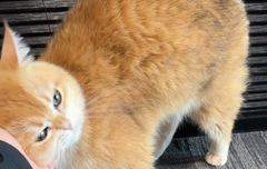 베리레드톡)Tei:똑같은베갤베고서