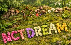 7드림 제주도가서 단체로 첼링찍고 맛집 3곳 갔다가 등산도 하고 게임도하고