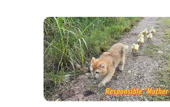 사담)(오리빙의)그리운 베리레드(mommy)