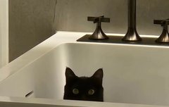 탕이 진짜 귀엽긴 한데