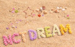 드림 하와이나 니스 가서 3박4일 칠링 찍어오자