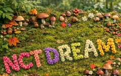 드림 스위스나 북유럽 방문해서 베낭여행하는거 찍어오자