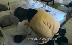 깨우라고 보냈더니 나도 들어갈래 이러고 같이 누워잠