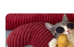 베리레드의날)객실(?)