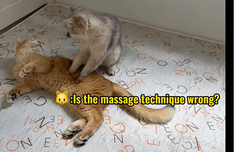 사담)(24/7베리레드의날인듯?)