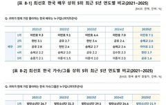 문체부 한류실태조사 방탄1위 정국오라버니