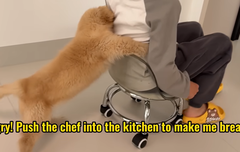 210401)can't wait to meet laosi(베리레드)