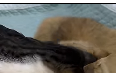 사담)easter egg(?)처럼