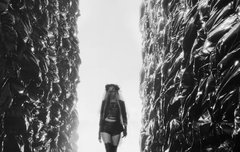 뮤비에 나오는 여자분 모델 수주님이시네