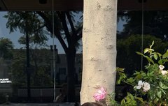 장원영은 요즘이 리즈임ㅠㅠ초미녀..