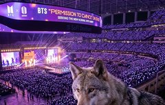 방탄 콘서트 보러간 늑구