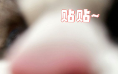 베리레드톡)손을높이쭉쭉뻗어봐요