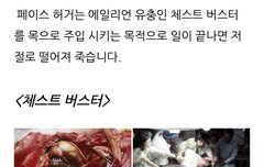 외계인류는 기생충형태로 사람몸에 들어감 영화 에일리언에 나오는 유충보다 작은 기생충이 사람몸속에 들어가 숙주가 된 사람을 마인드 컨트롤 지배함