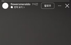 스메랄도 인스스 뭐임