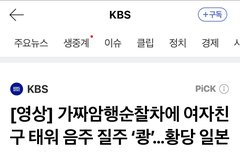 가짜 경찰이 진짜 경찰한테 잡혀가는거 보고싶다