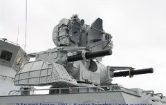 러시아해군 3M87 Kortik 근접방어시스템 | 네이트 판