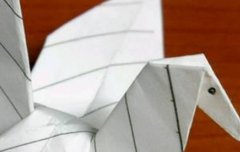 학 눈 어디다그려요? | 네이트 판