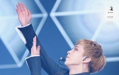 ** 연검 정화 ** | 네이트 판