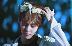 ** 연검 정화 ** | 네이트 판