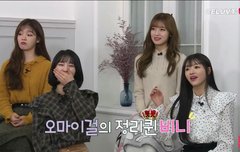 생각 없이 말하는 팬들 상대하는 오마이걸 지호 | 네이트 판