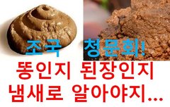 [정치내전016] 똥인지 된장인지 냄새로 알아야지 손가락으로 푹~ 찍어서 입으로 먹어봐야 알수 있나?...조국청문회 (ft.룰라 ...