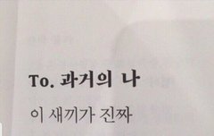 ㅇㄷ 관련 정리해준다 톡선 보내라 | 네이트 판
