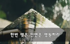 한번 맺은 인연은 영원하라~ | 네이트 판