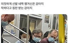 매력 있는 애들 특징 뭐라고 생각함? | 네이트 판