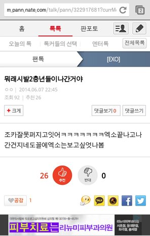 드림콘서트 소녀시대 무대중 나간건 엑소팬이 아닙니다.