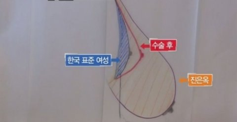 ☆한국 20대 여자 평균 면상과 가슴☆ | 네이트 판