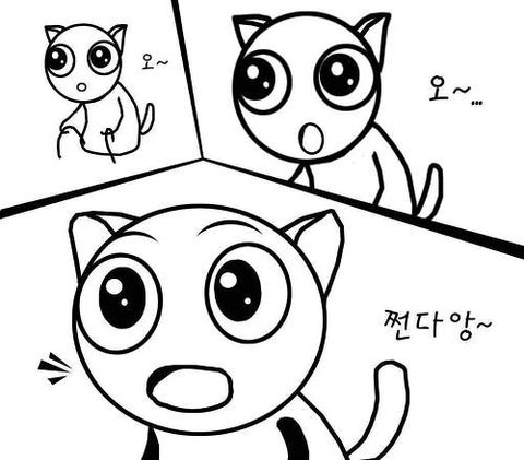 여자들 진짜 신기한듯 | 네이트 판
